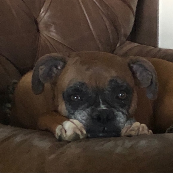 Meet your Posher, Jennifer - Picture 3 of 3